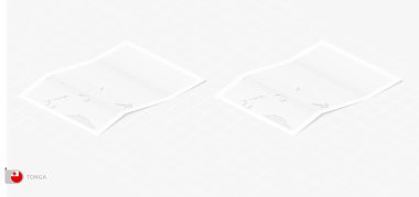 Tonga 'nın gölgeli iki gerçekçi haritası. Tonga bayrağı ve haritası izometrik biçimdedir.