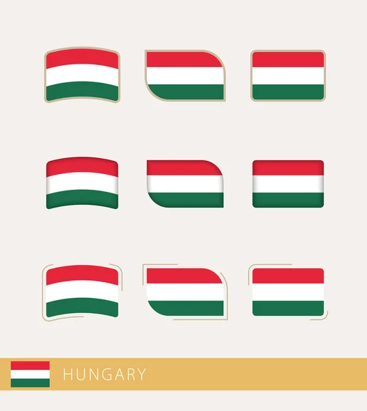 Vector Flags Hungary Collection Hungary Flags — Stockový vektor