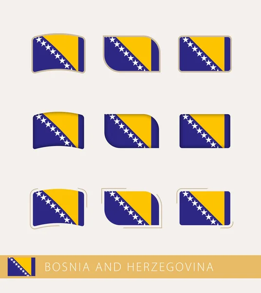 Vector Flags Bosnia Herzegovina Collection Bosnia Herzegovina Flags — Stock vektor