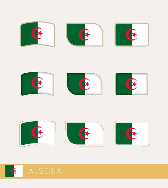 Cezayir Vektör Bayrakları Cezayir Bayrakları Koleksiyonu — Stok Vektör