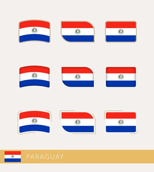 Vector Vlaggen Van Paraguay Verzameling Van Paraguay Vlaggen — Stockvector