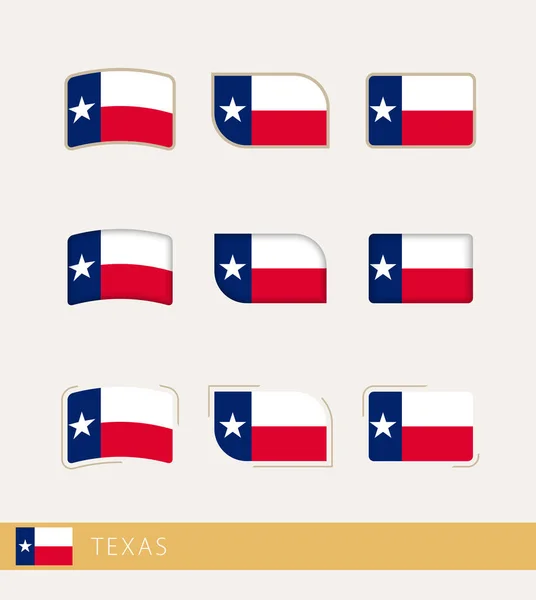 Bandiere Vettoriali Del Texas Collezione Bandiere Del Texas — Vettoriale Stock