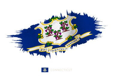 Connecticut 'ın boyalı fırça darbesi bayrağı..