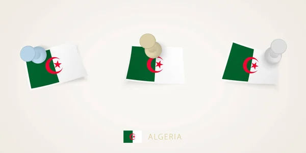 Cezayir Bayrağı Farklı Şekillerde Virajlarla Asılmış Vektör Itme Iğneleri Üst — Stok Vektör