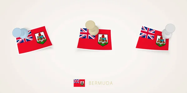Bandeira Prensada Das Bermudas Diferentes Formas Com Cantos Torcidos Vector — Vetor de Stock