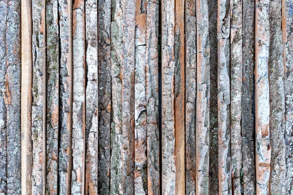 Achtergrond Van Natuurbord Met Een Prachtig Patroon Van Boomstructuur Knopen — Stockfoto