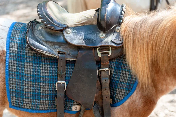 Saddle Stirrups Back Horse — Stock Photo, Image