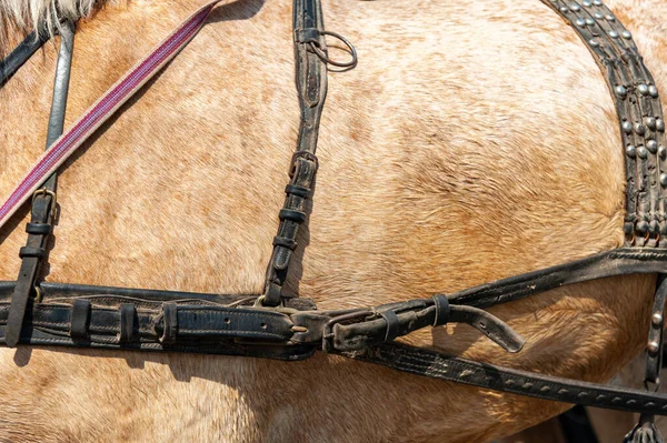 At arabası çakmak yakın çekim 