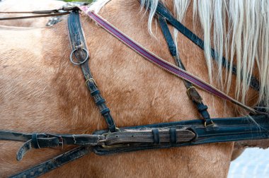 At arabası çakmak yakın çekim 