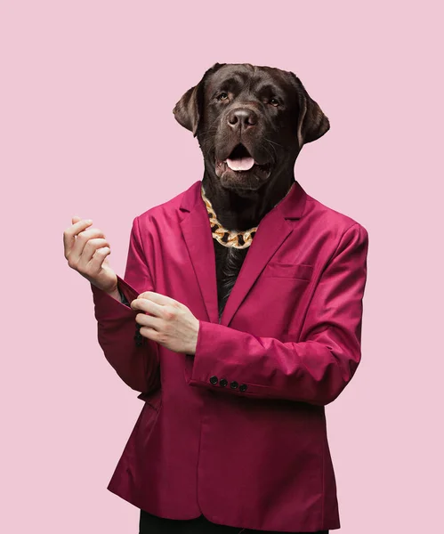 Opere d'arte contemporanea, collage concettuale. Un uomo con la testa di cane. Colori di tendenza. — Foto Stock