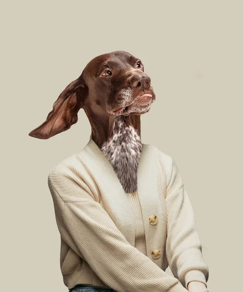 Opere d'arte contemporanea, collage concettuale. Mistero guidato da una testa di cane. Colori di tendenza. — Foto Stock