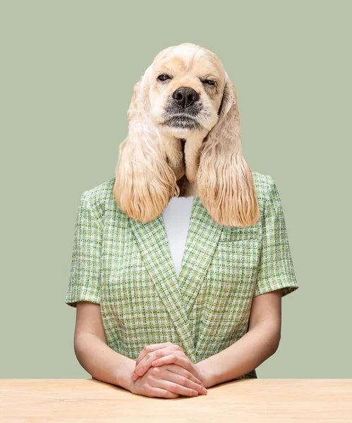 Obra de arte contemporáneo, collage conceptual. Mujer misteriosa encabezada por una cabeza de perro. Colores de moda. — Foto de Stock