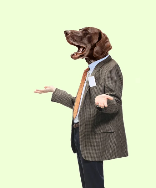 Kortárs művészet, konceptuális kollázs. Egy férfi, aki kutyafejű öltönyt visel. Trendi színek. — Stock Fotó