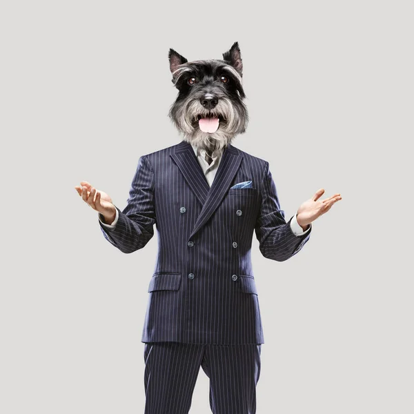 Zeitgenössische Kunst, konzeptuelle Collage. Der Mensch an der Spitze des Hundes. Trendfarben. — Stockfoto