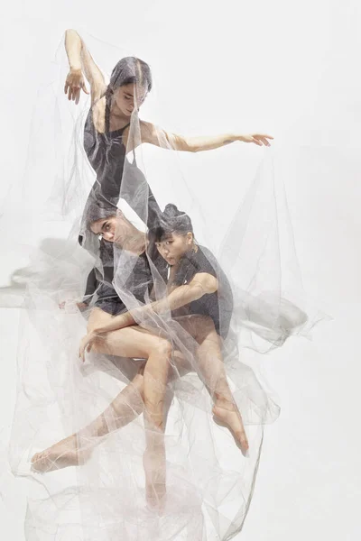 Modern bale gösterisi. Modern dansçılardan oluşan bir grup, şeffaf boşluk kumaş altında ağaç balerinleri. — Stok fotoğraf