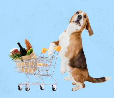 Çağdaş sanat kolajı, modern yaratıcı tasarım. Sürrealizm. Fikir, ilham, moda dergisi tarzı. Av köpeği alışverişe gidiyor.