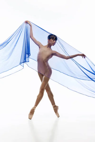 年轻优雅的日本芭蕾舞演员与透明的面料，蓝色蜘蛛网隔离在白色工作室背景的肖像. — 图库照片