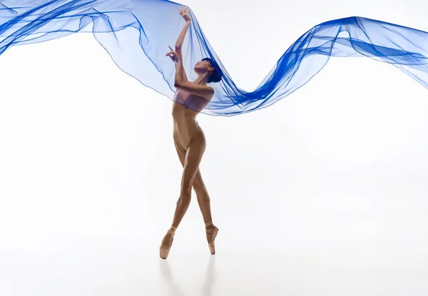 年轻可爱的日本芭蕾舞演员与透明的面料，蓝色蜘蛛网隔离在白色工作室背景的肖像. — 图库照片