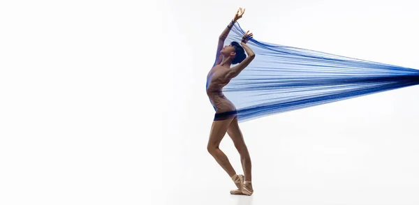 年轻可爱的日本芭蕾舞演员，用透明的面料跳舞，蓝色蜘蛛网隔离在白色的工作室背景下. — 图库照片
