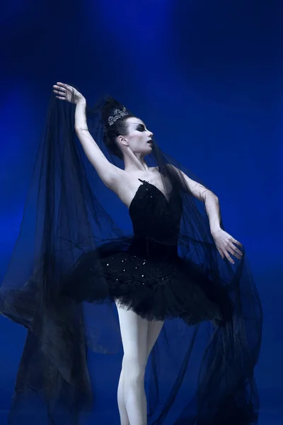 Retrato de jovem mulher incrivelmente bonita, bailarina em roupa de balé preto, tutu dançando no estúdio azul cheio de luz. — Fotografia de Stock