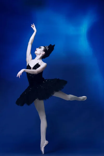 Porträtt av ung otroligt vacker kvinna, ballerina i svart balett outfit, tutu dans på blå studio full av ljus. — Stockfoto