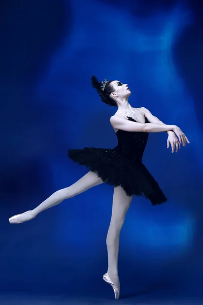 Een jonge ongelooflijk mooie vrouw, ballerina in zwart ballet outfit, tutu dansen in de blauwe studio vol licht. — Stockfoto