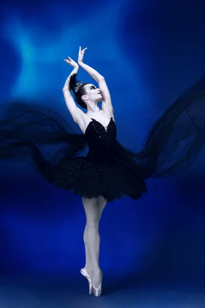 Portret van jonge ongelooflijk mooie vrouw, ballerina in zwart ballet outfit, tutu dansen in de blauwe studio vol licht. — Stockfoto