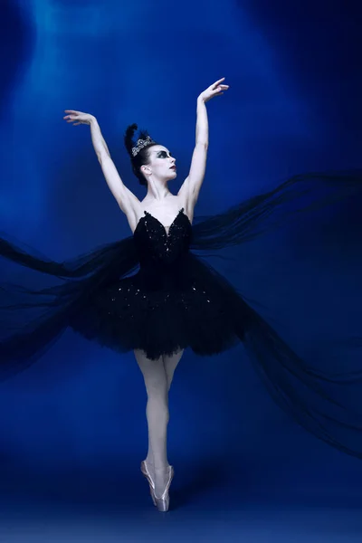 Portrét mladé neuvěřitelně krásné ženy, baletka v černém baletu, tutu tanec v modrém studiu plném světla. — Stock fotografie