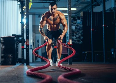 Genç bir adam, kaslı bir atlet spor salonunda vücut geliştirme eğitimi alıyor. Spor anlayışı, aktivite, sağlıklı yaşam tarzı