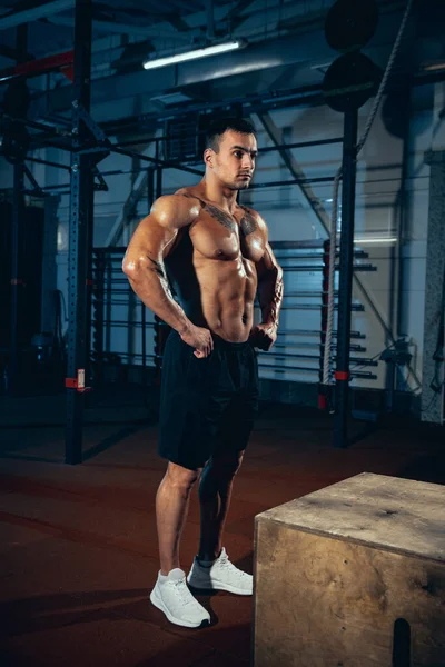 Portrait of handsome, sportive man, bodybuilder posing at sport gym, indoors. Concept of sport, activity, healthy lifestyle — Stock Photo, Image