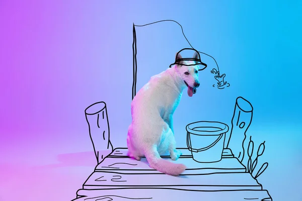 Современные произведения искусства. Одна милая собака сидит и смотрит на камеру изолированы на неоново-розовый синий фон студии с рисунками. — стоковое фото