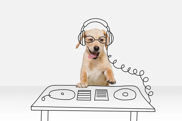 Kunstwerk. Een schattige ras hond in beeld van disco dj geïsoleerd op witte studio achtergrond met tekeningen. Mix foto en illustratie — Stockfoto