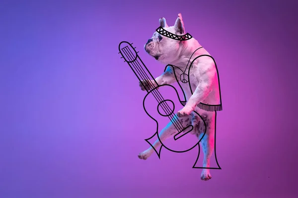 Kunstwerk. Ein niedlicher kleiner Hund, Bulldogge spielt Gitarre isoliert auf Gradienten neonrosa blauen Studiohintergrund mit Zeichnungen. — Stockfoto