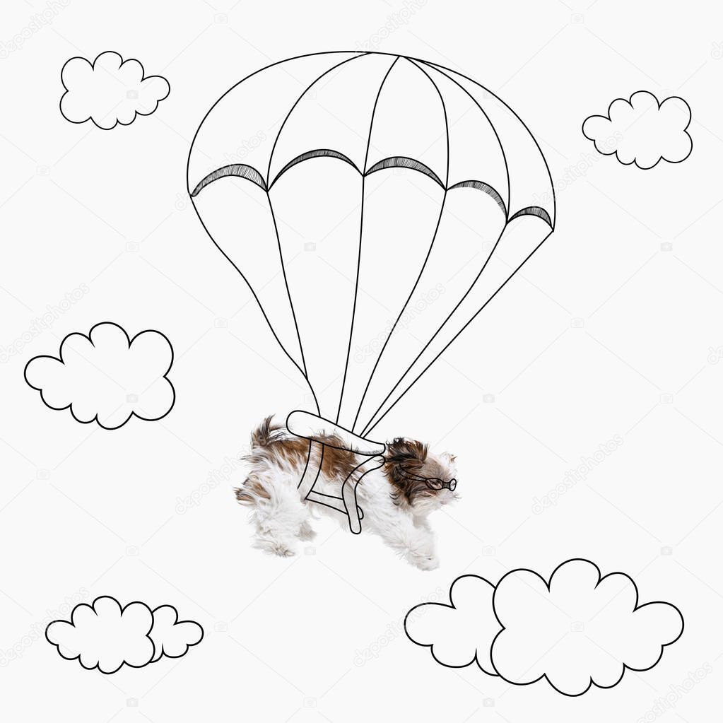 Contemporary artwork. One cute funny dog parachutes isolated on white studio background with drawings.