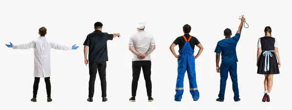 Group of people with different professions standing with their backs isolated on white studio background. Horizontal flyer, collage. Back, rear view — Stock Photo, Image