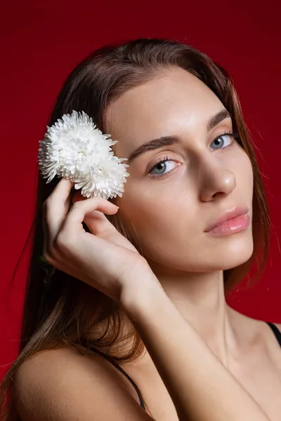 Közelkép portré gyönyörű bájos gazdaság fehér virág elszigetelt felett piros stúdió háttér. Természetes szépség és esztétikai kozmetikai koncepció. — Stock Fotó