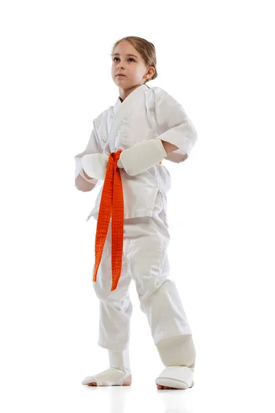 Fullängds porträtt av liten flicka, ung karate poserar isolerad över vit bakgrund. Begreppet idrott, utbildning, färdigheter — Stockfoto