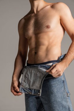 Gri stüdyo arka planında yalnız poz veren kot pantolonlu, sakallı, genç ve yakışıklı bir adamın kesilmiş portresi..