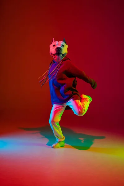 Zeitgenössische Collage. Eine Hip-Hop-Tänzerin mit Hundekopf tanzt vereinzelt über dunkelrotem Hintergrund im Neonlicht. Inspiration, Idee, Street Dance Stil. — Stockfoto