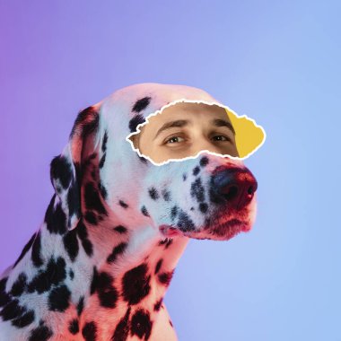 Dalmaçyalı köpeğe ait çağdaş sanat kolajı erkek gözü elementi ile mor arka planda izole edilmiş neon ışıklarıyla