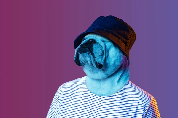 Современные произведения искусства, концептуальный коллаж. Молодой стильный мужчина в шляпе во главе с собачьей головой изолирован на фиолетовом фоне в неоне. Сюрреализм — стоковое фото