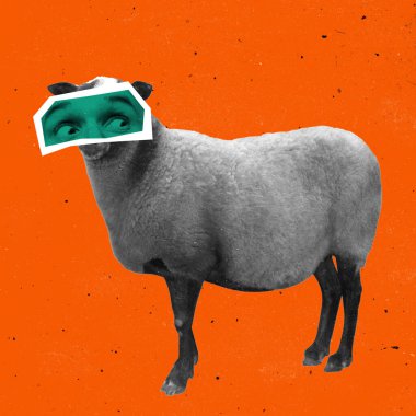 Çağdaş sanat kolajı, siyah beyaz erkek gözlü koyun portresi ile kahverengi arka planda izole edilmiş..