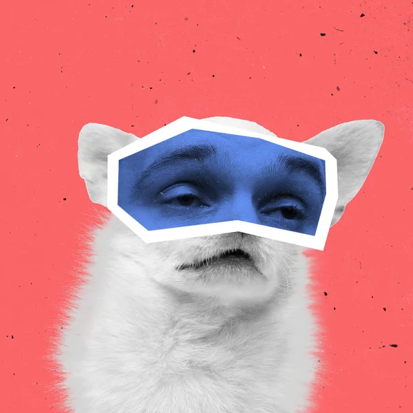Collage d'art contemporain de petit chien aux yeux masculins isolés sur fond de couleur corail. Animaux avec des émotions humaines — Photo