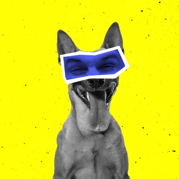 Современный художественный коллаж с большой собакой BW с мужскими глазами, изолированными на желтом фоне. Животные с человеческими эмоциями — стоковое фото