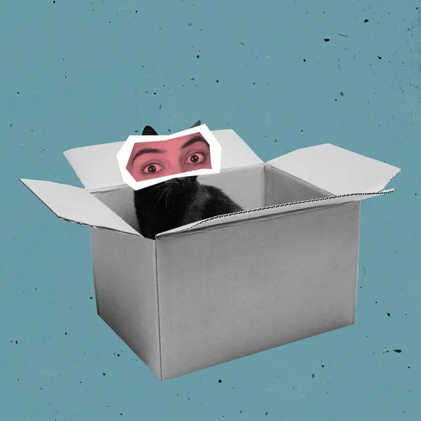 有绒毛猫的当代艺术拼贴，雌性眼睛坐在蓝色背景的纸盒里. — 图库照片