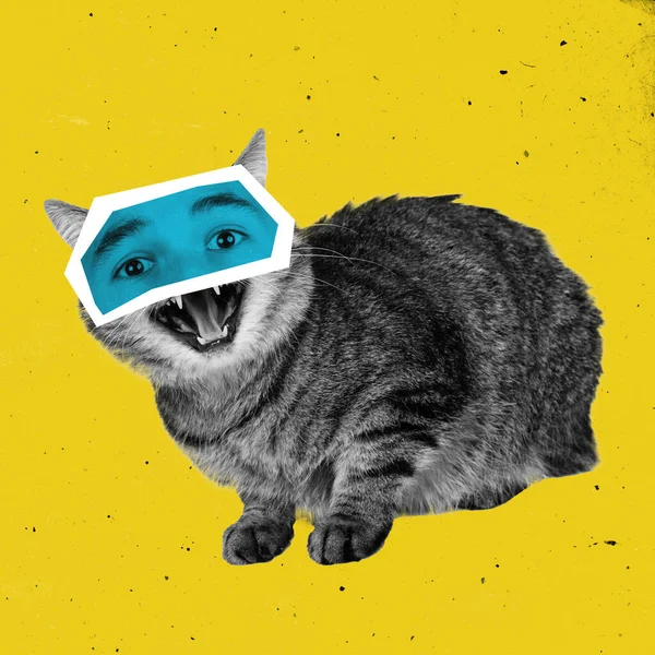 Zeitgenössische Kunstcollage mit Schwarz-Weiß-Porträt einer flauschigen Katze mit männlichen Augen auf gelbem Hintergrund. — Stockfoto