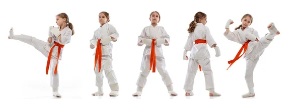 Mozgások. Sport kollázs kislánnyal, fiatal karate sport egyenruhában pózol elszigetelt fehér háttér. — Stock Fotó