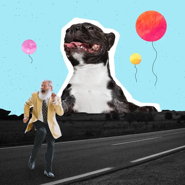 Obra surrealista. Anciano vestido en 80, traje de estilo 70 bailando en camino abierto. Un perro enorme buscando al hombre. Surrealismo —  Fotos de Stock