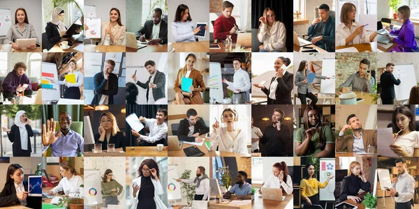 Koláž z portrétů mnohonárodnostních lidí, obchodníků v kancelářích, uvnitř. Obchod, vzdělávání, týmová práce, práce, finance, technická koncepce. — Stock fotografie