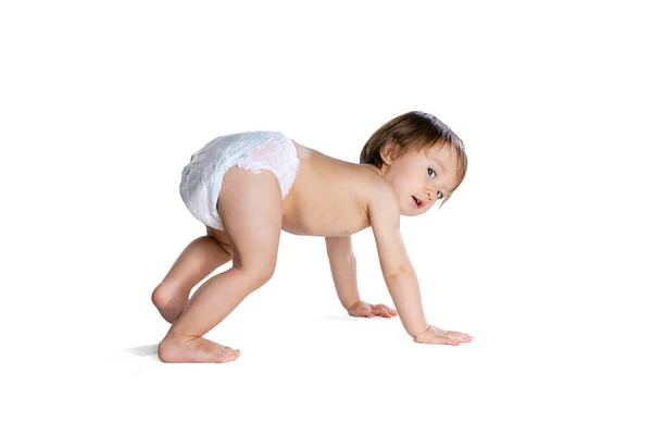Portrait of little boy, baby, child in diaper crawls isolated over white studio background. Childhood concept — Fotografia de Stock